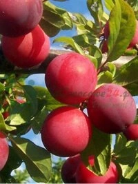 Инвестиции в передовое оборудование и современные производственные технологии