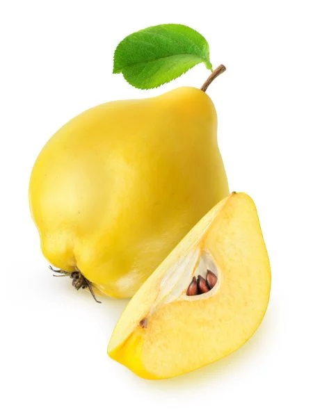 Айва